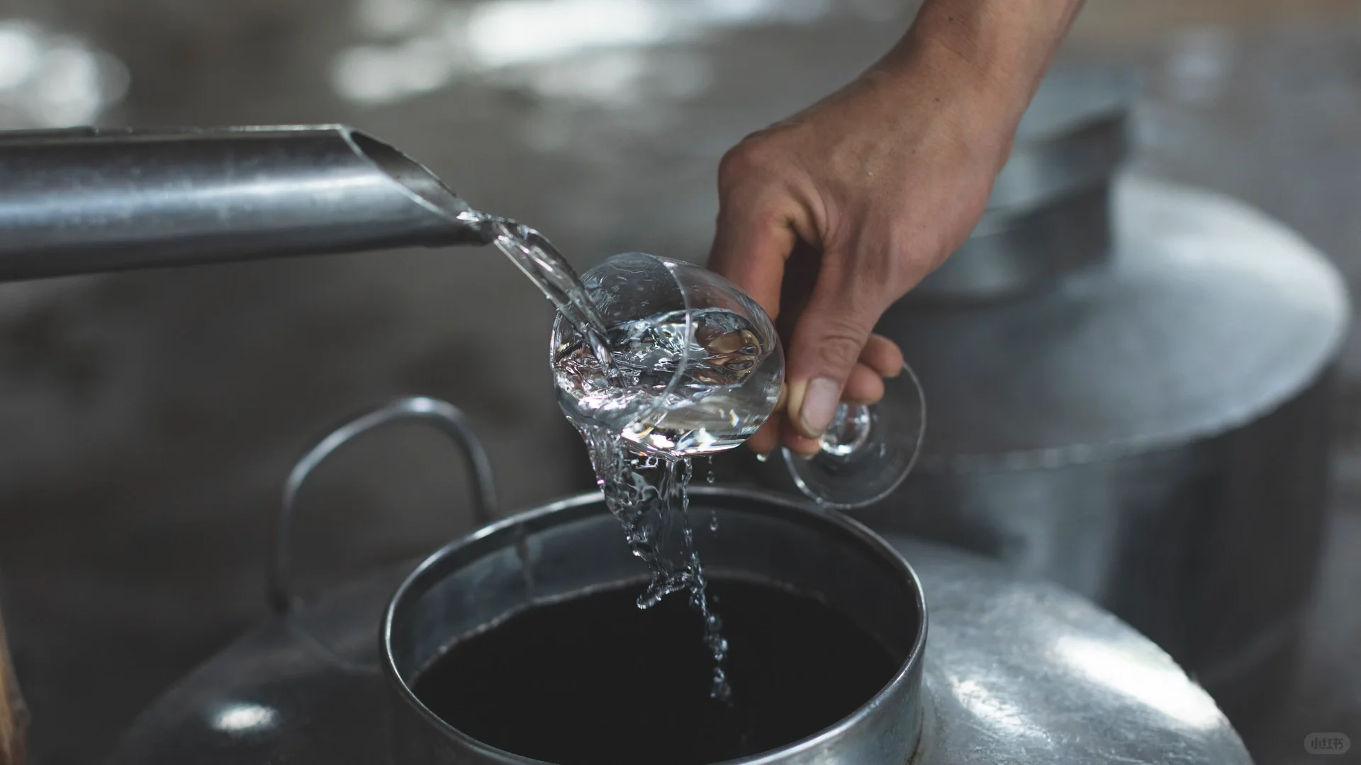 【酒知识】如何品鉴白酒