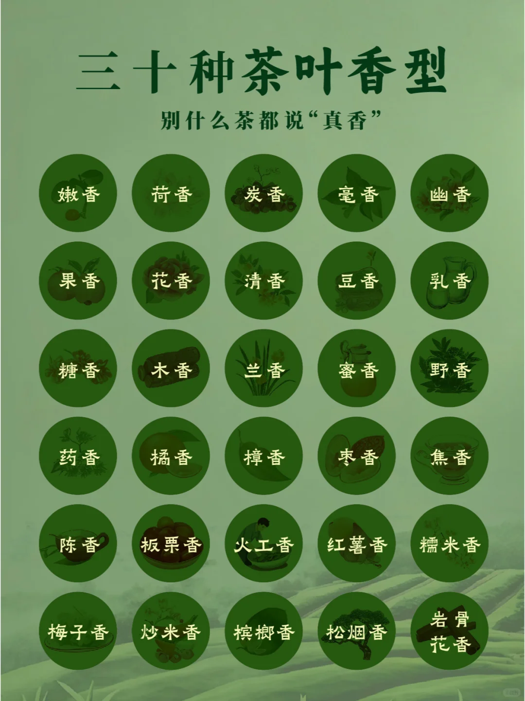 30种茶叶香型?，哪一种是你的心头爱？