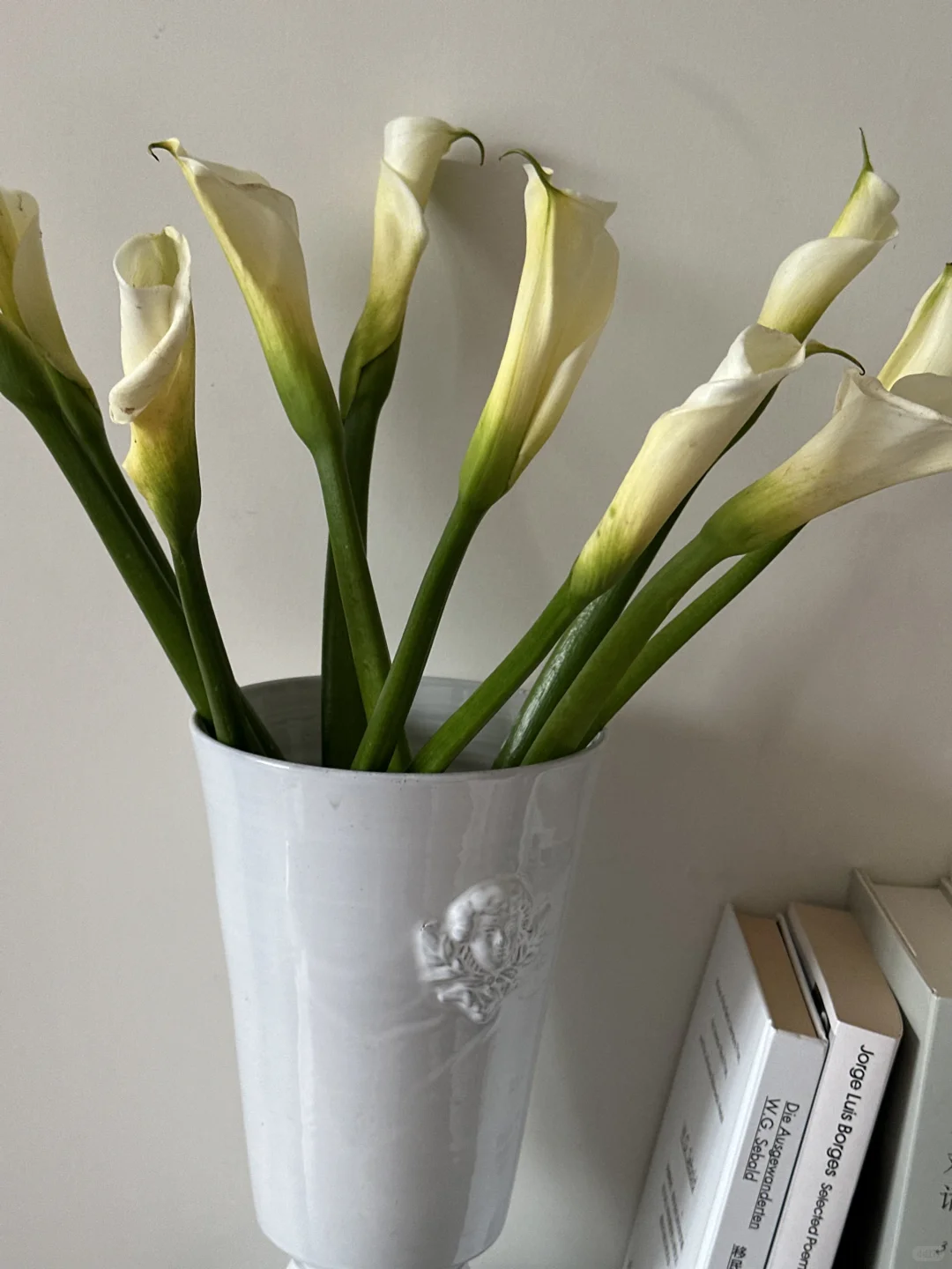 “敬自由、黄昏、书籍、冬天。”