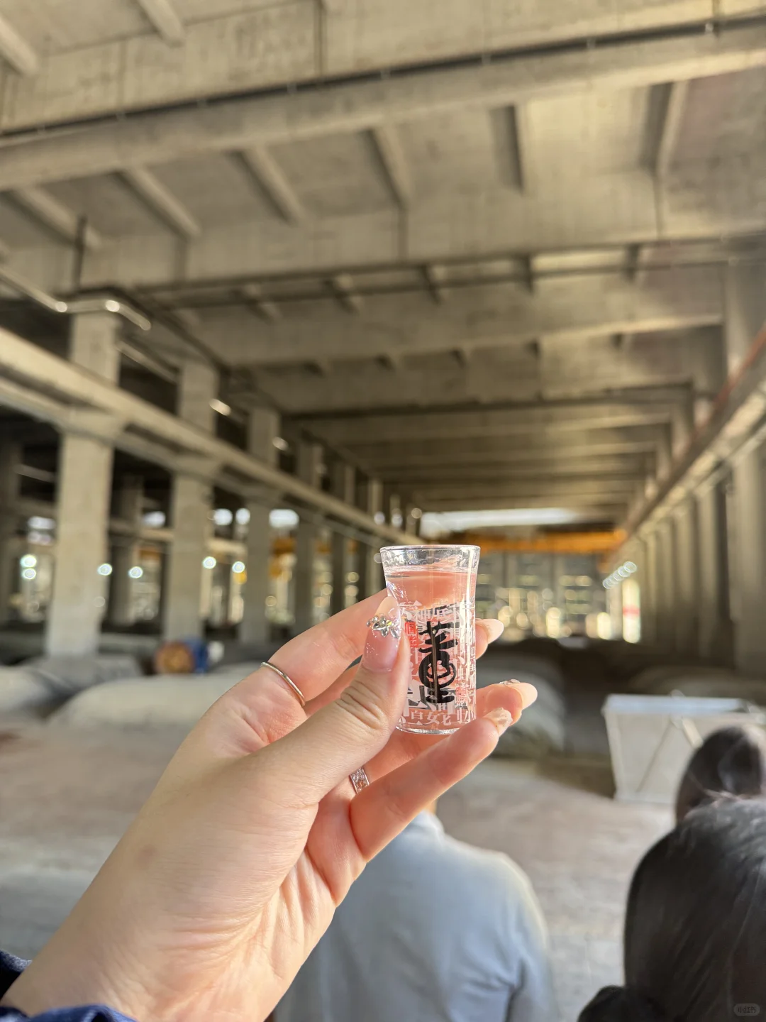 董酒游学实录｜这回，终于把董酒喝懂了