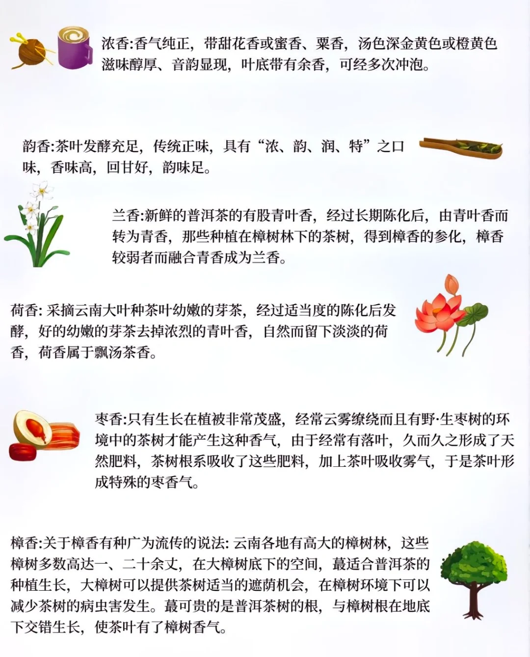 茶叶32种香型，你闻过几种？