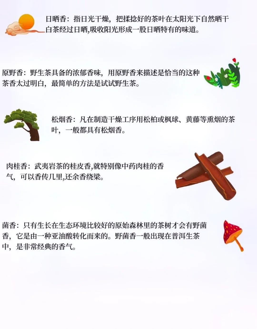 茶叶32种香型，你闻过几种？