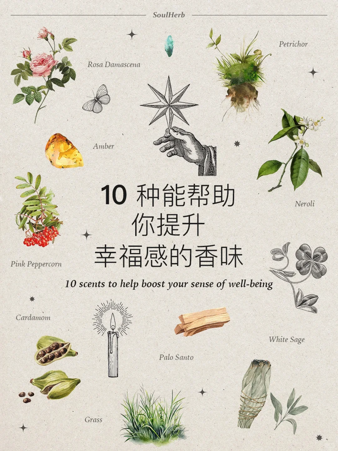 自然疗愈｜?种帮助你提升幸福感的香味?