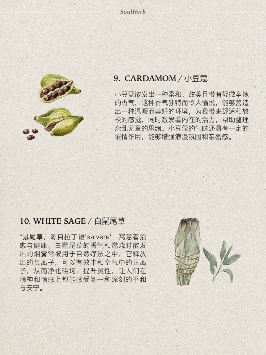 自然疗愈｜?种帮助你提升幸福感的香味?