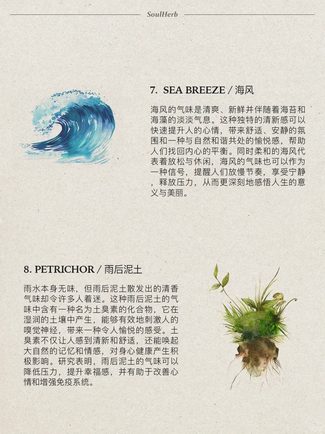 自然疗愈｜?种帮助你提升幸福感的香味?