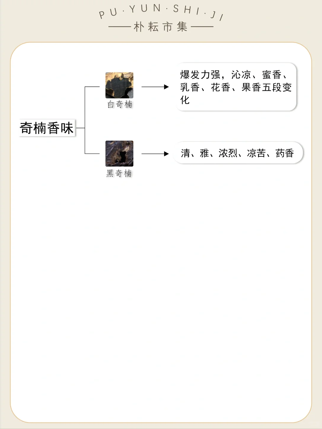 香文化入门|25种沉香的香型汇总