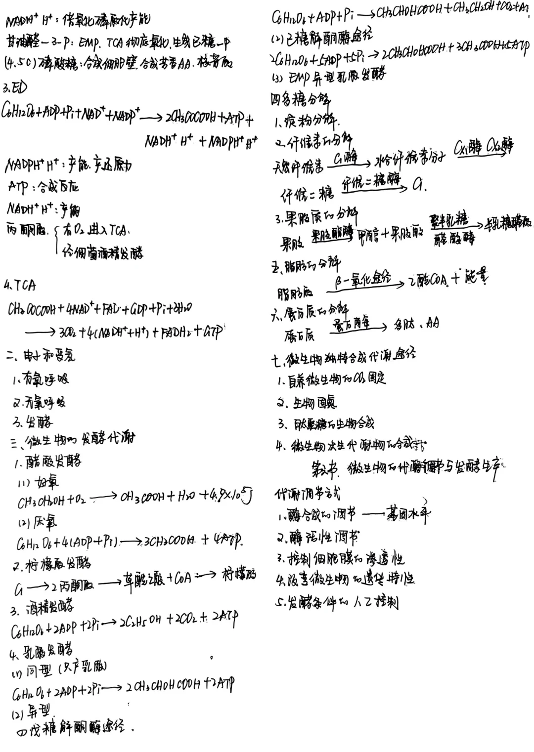 食品发酵原理与技术--笔记