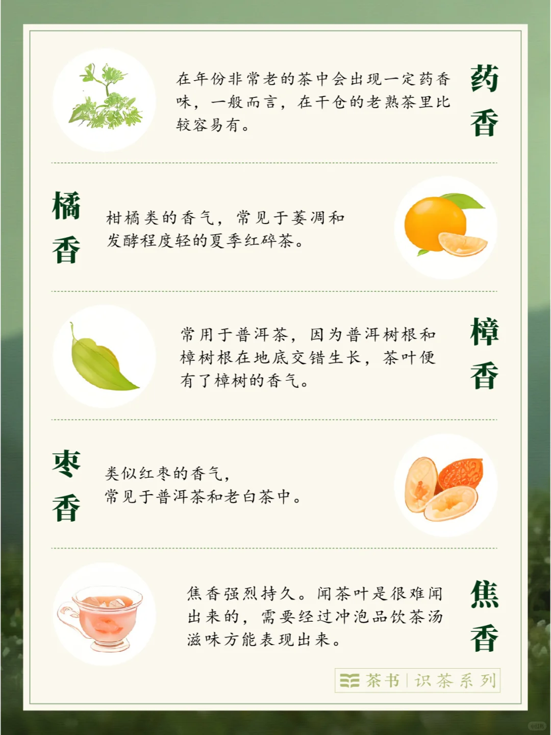 30种茶叶香型?，哪一种是你的心头爱？