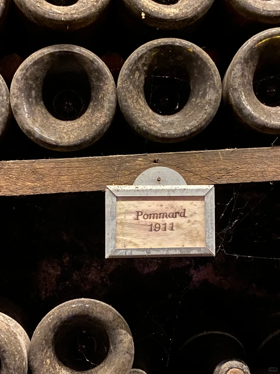 勃艮第酒庄游｜好酒的生命力 可以跨越百年