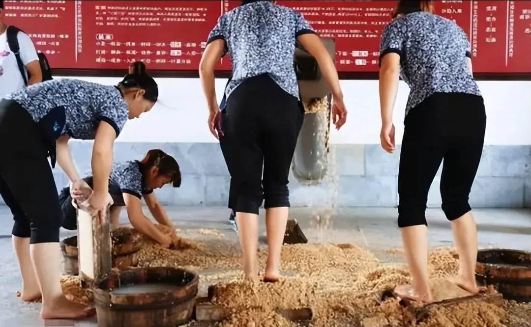 踩曲，踩曲真的是用脚踩，还敢喝茅台酒吗？