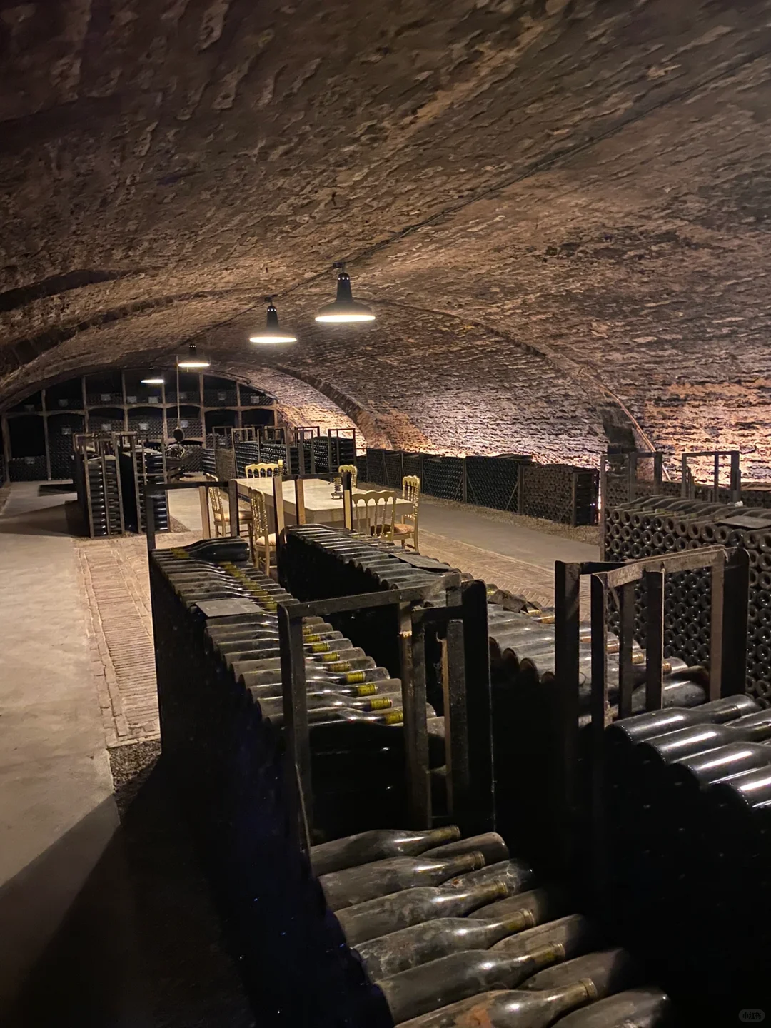 勃艮第酒庄游｜好酒的生命力 可以跨越百年