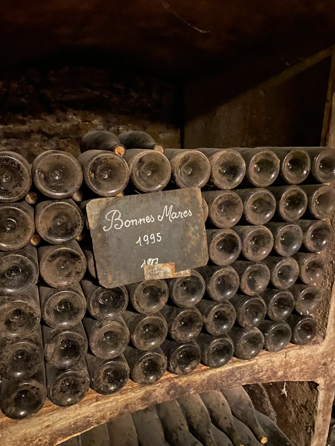 勃艮第酒庄游｜好酒的生命力 可以跨越百年