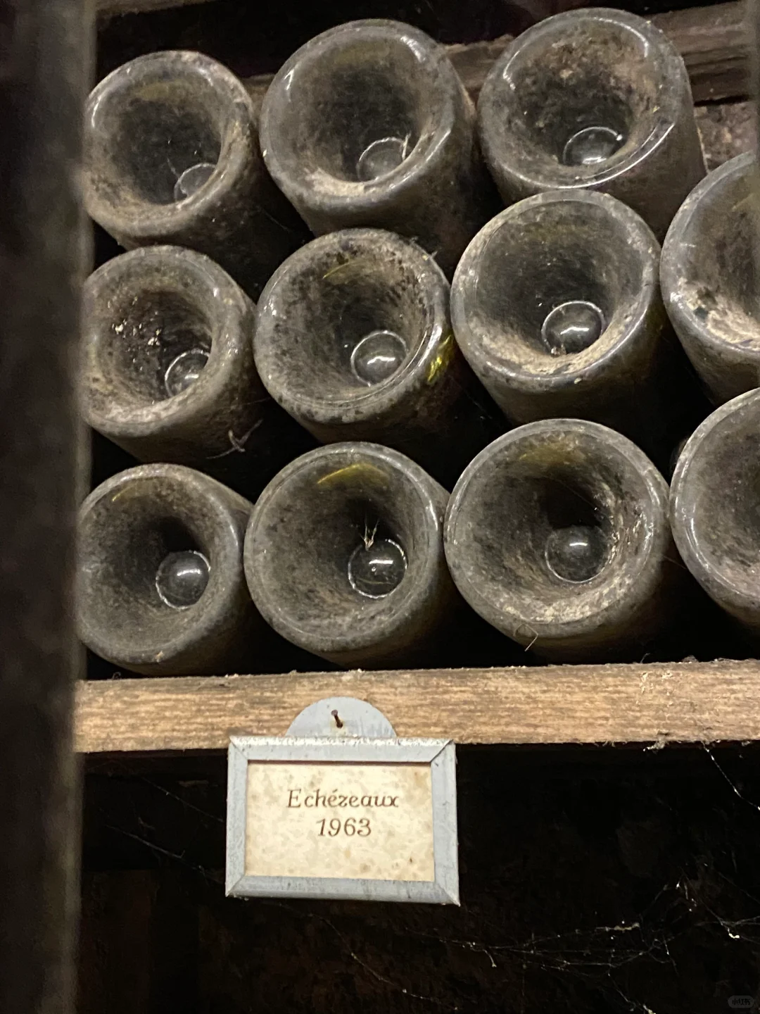 勃艮第酒庄游｜好酒的生命力 可以跨越百年