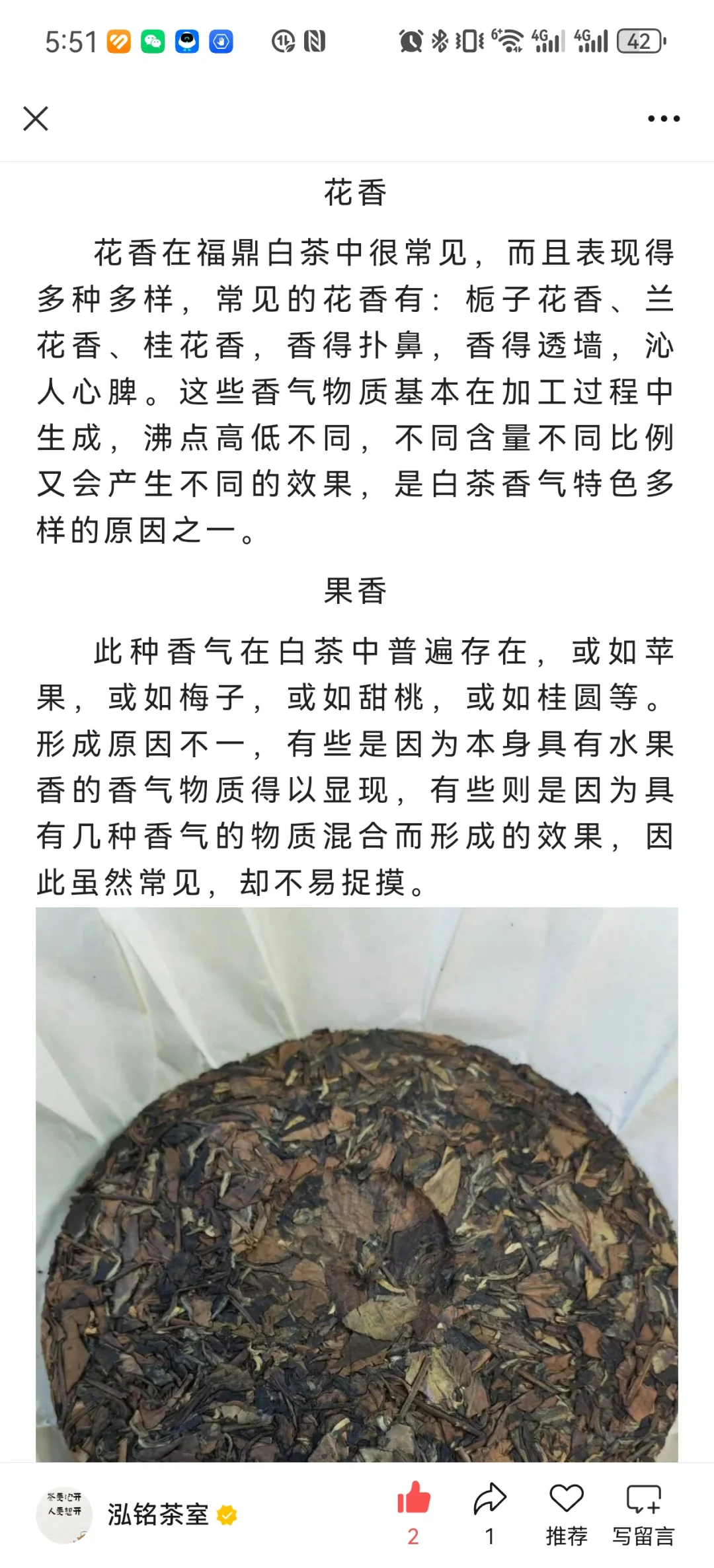 白茶各种香型集合！