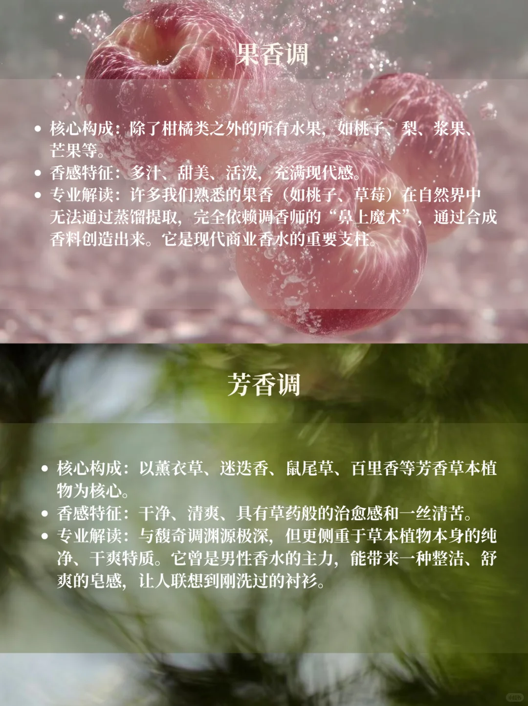 香水12香调超详细指南｜调香爱好者码住！！！