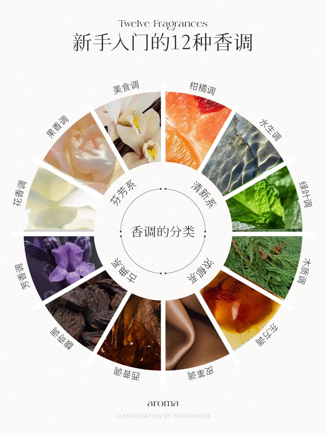 香味入门 | 12种香调,找到属于你的本命香