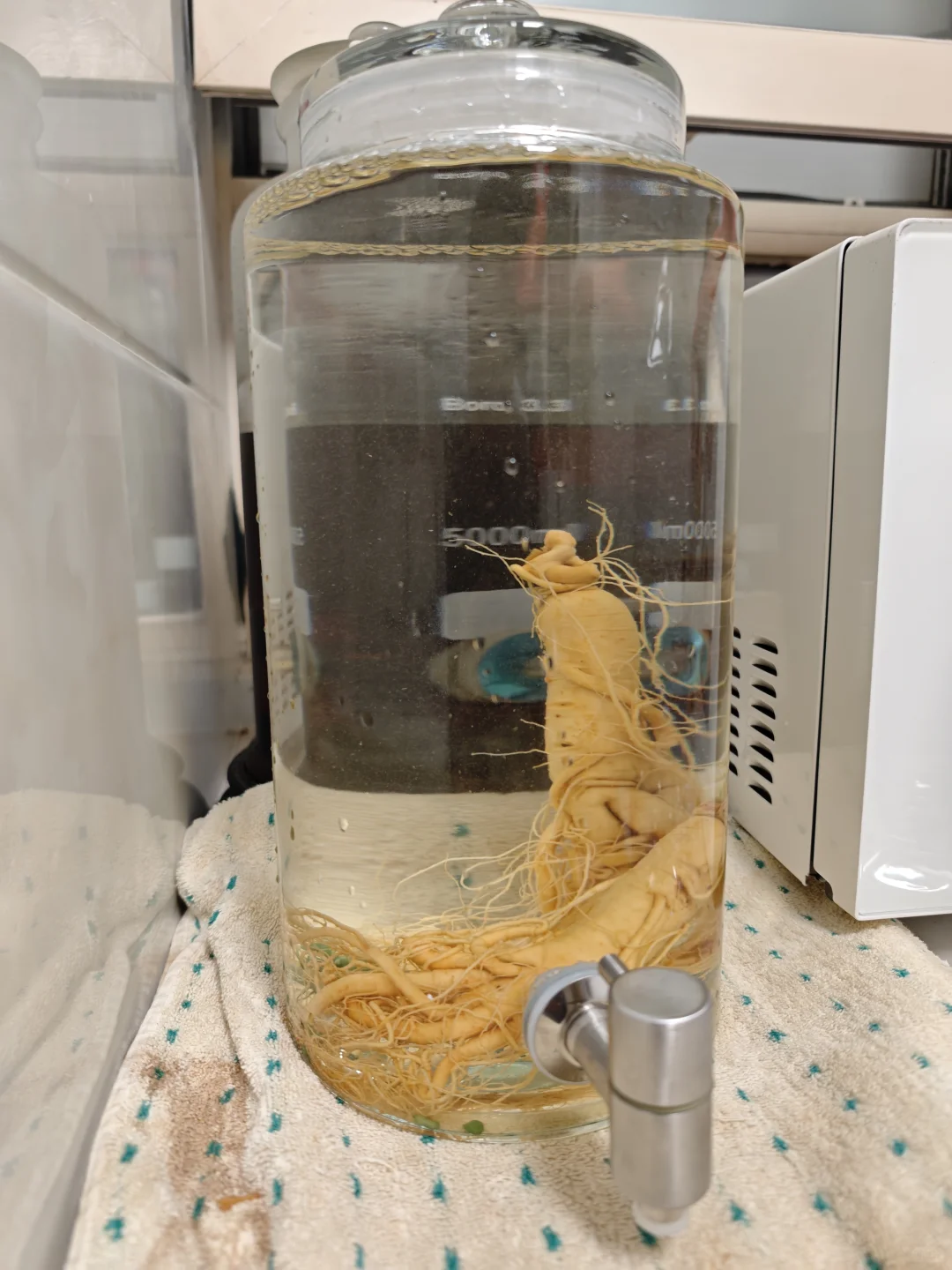 船新版本：人参+白酒