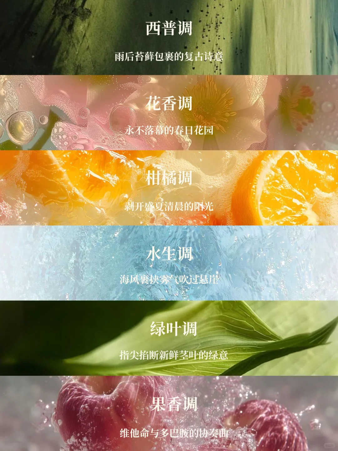 香水12香调超详细指南｜调香爱好者码住！！！