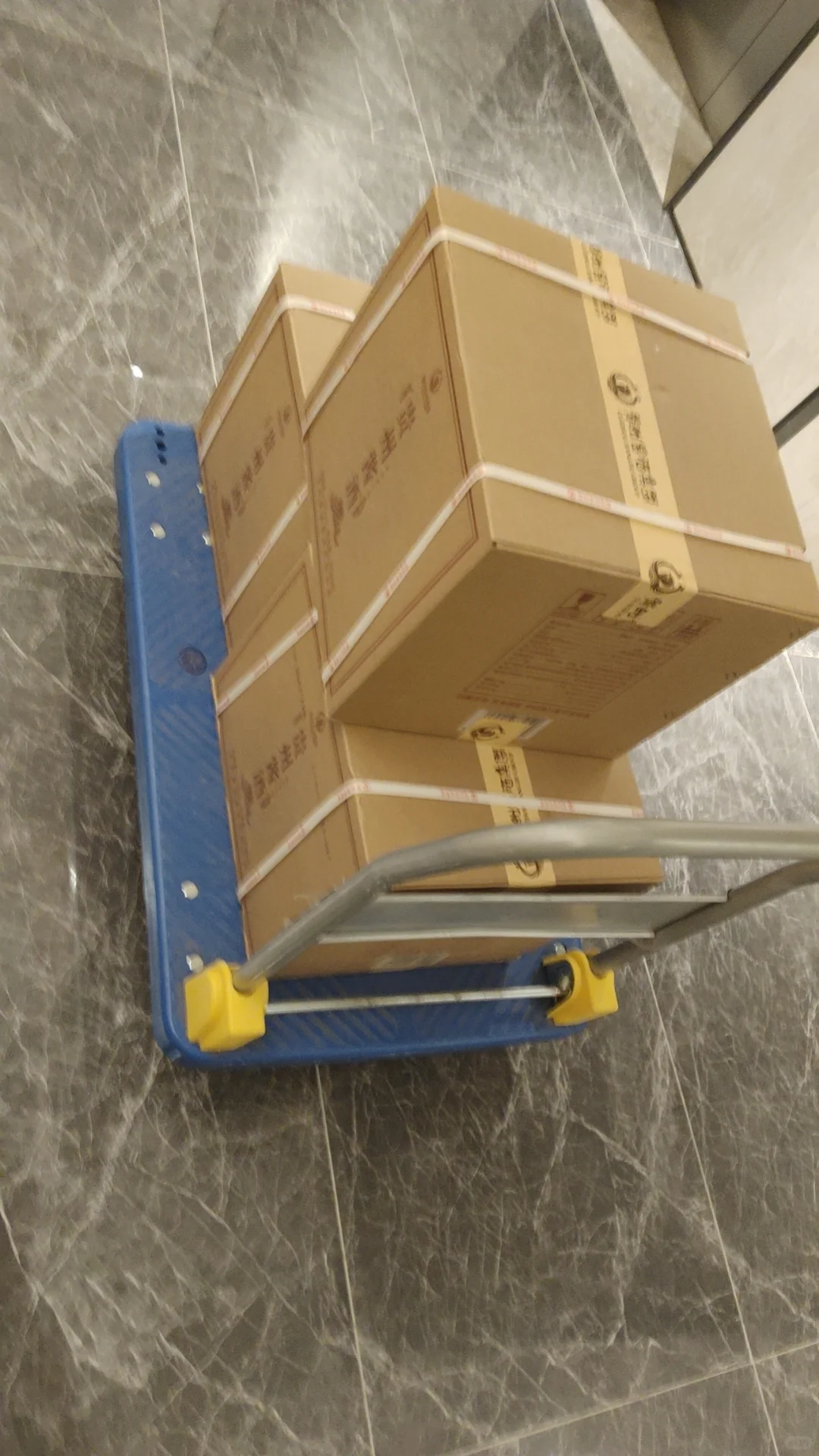 公司采购个人需要白酒看过来