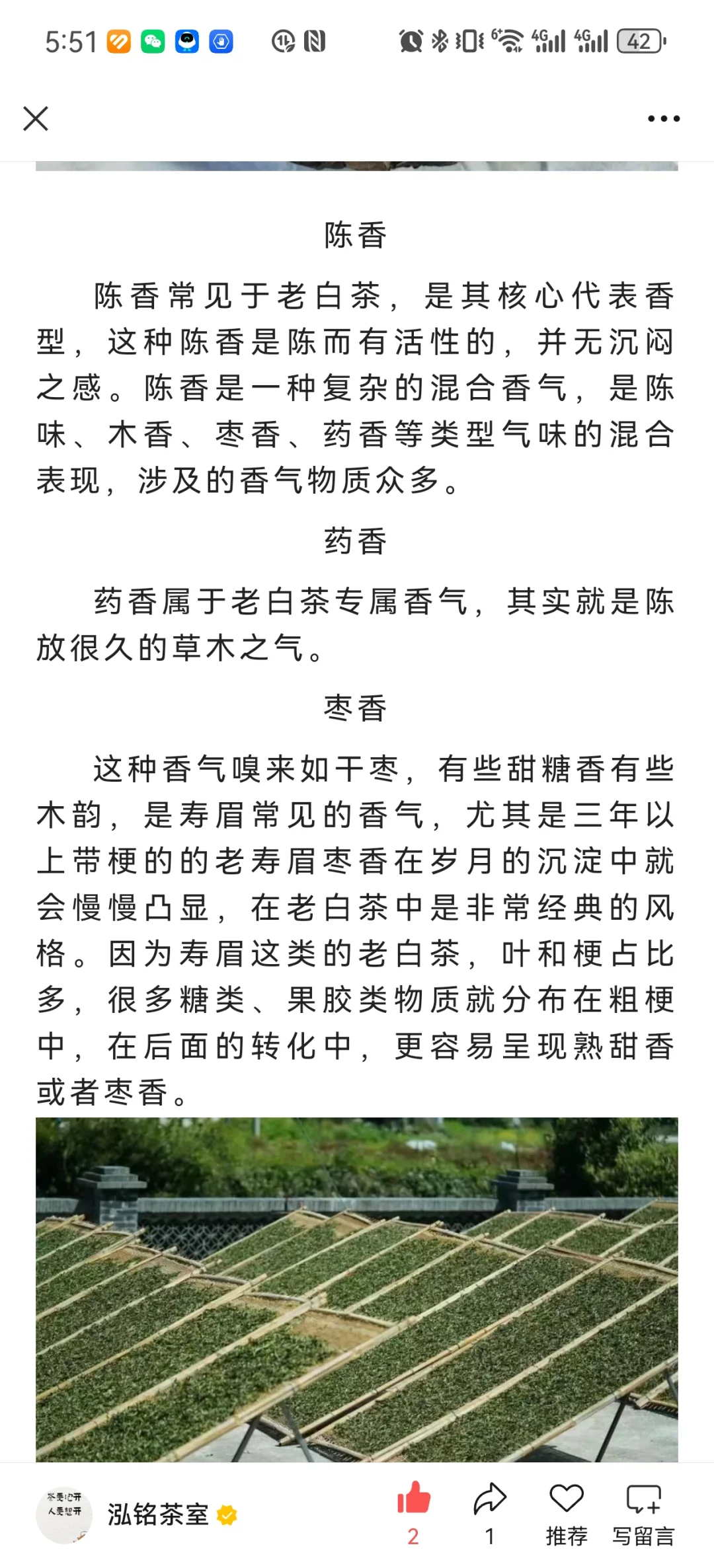 白茶各种香型集合！