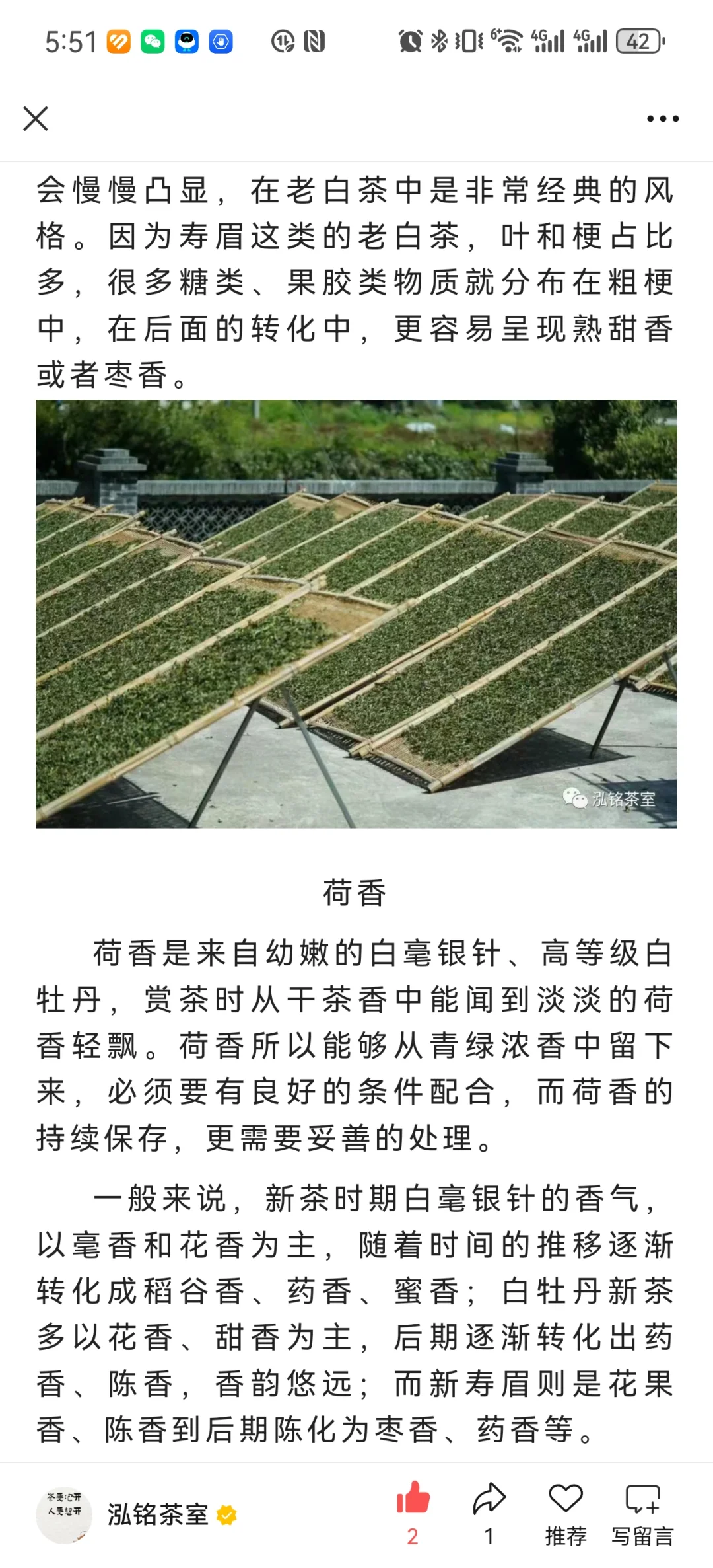 白茶各种香型集合！