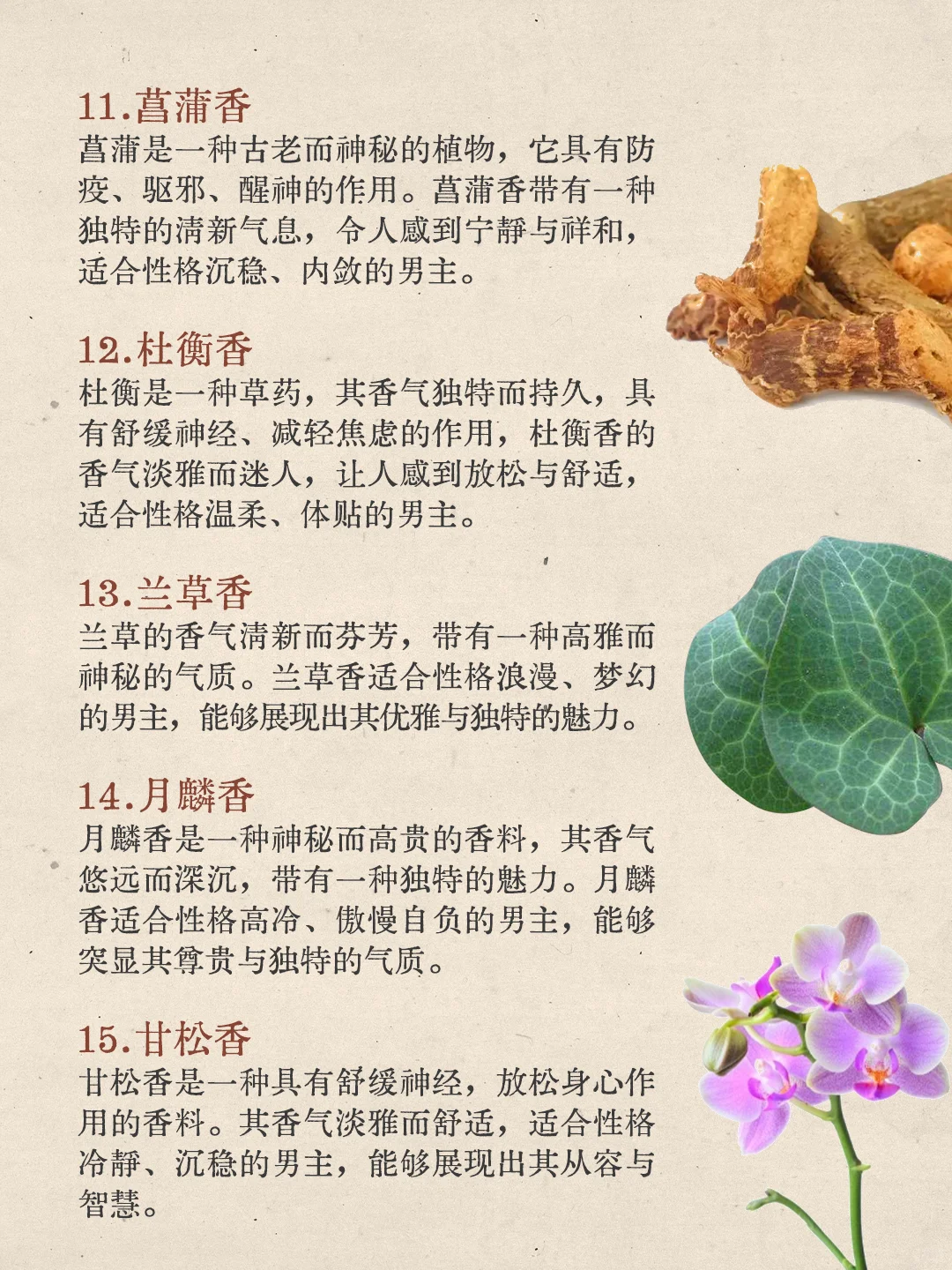 写小说|18种男主”香“，哪款是你的菜？