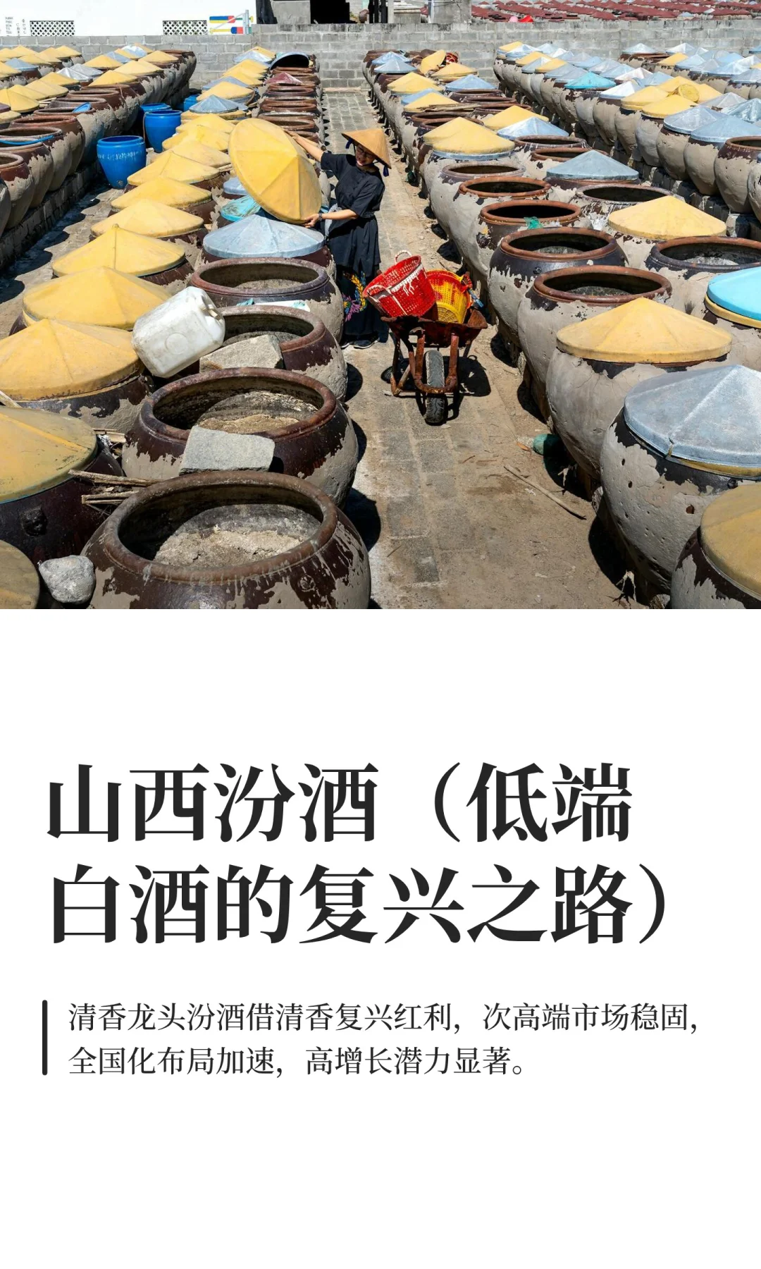 山西汾酒（低端白酒的复兴之路）