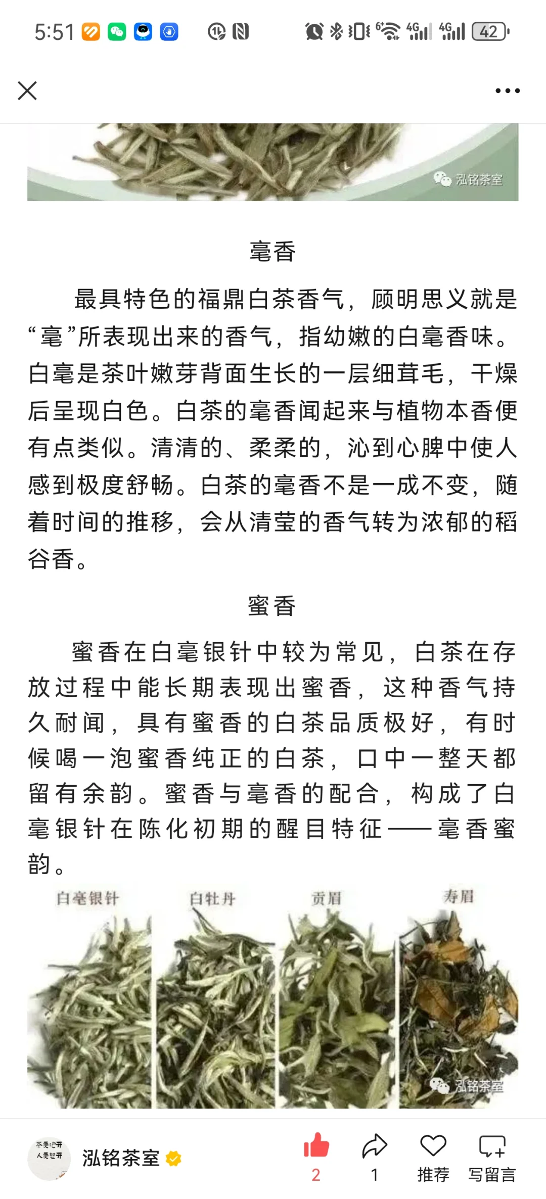 白茶各种香型集合！