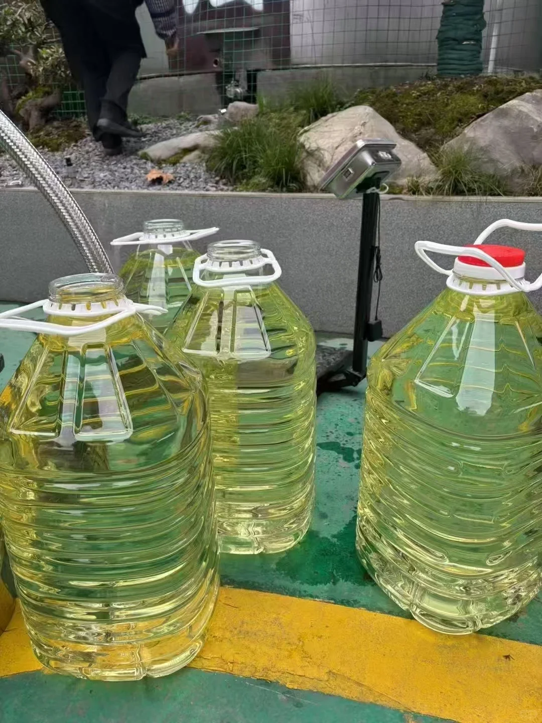 年份散酒（口粮酒天花板）