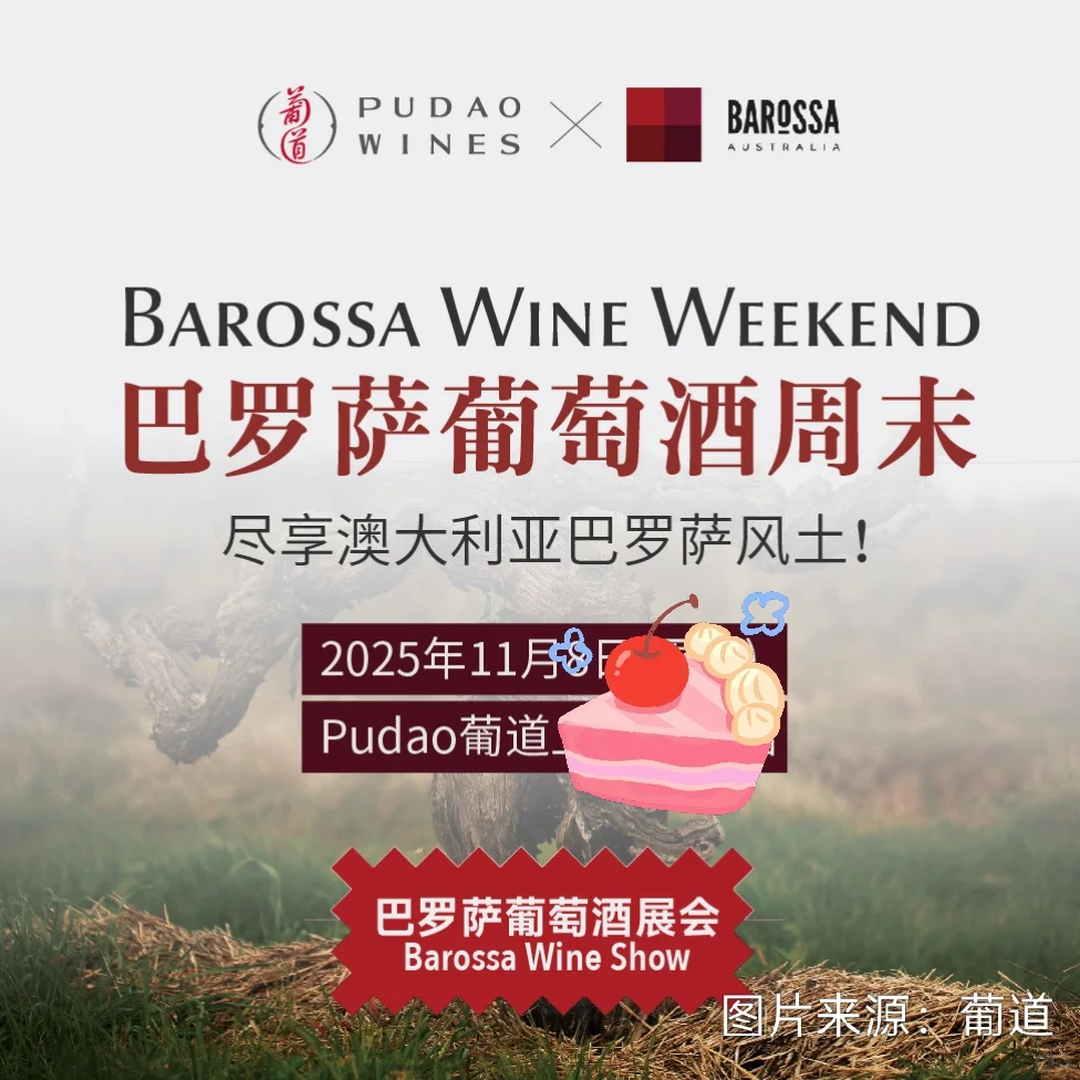 上海✖️11月葡萄酒展（2）