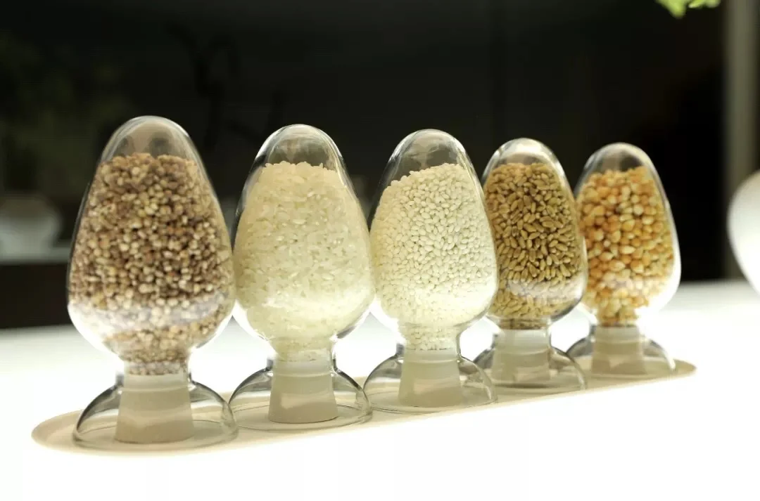 白酒品鉴-见酒道馆