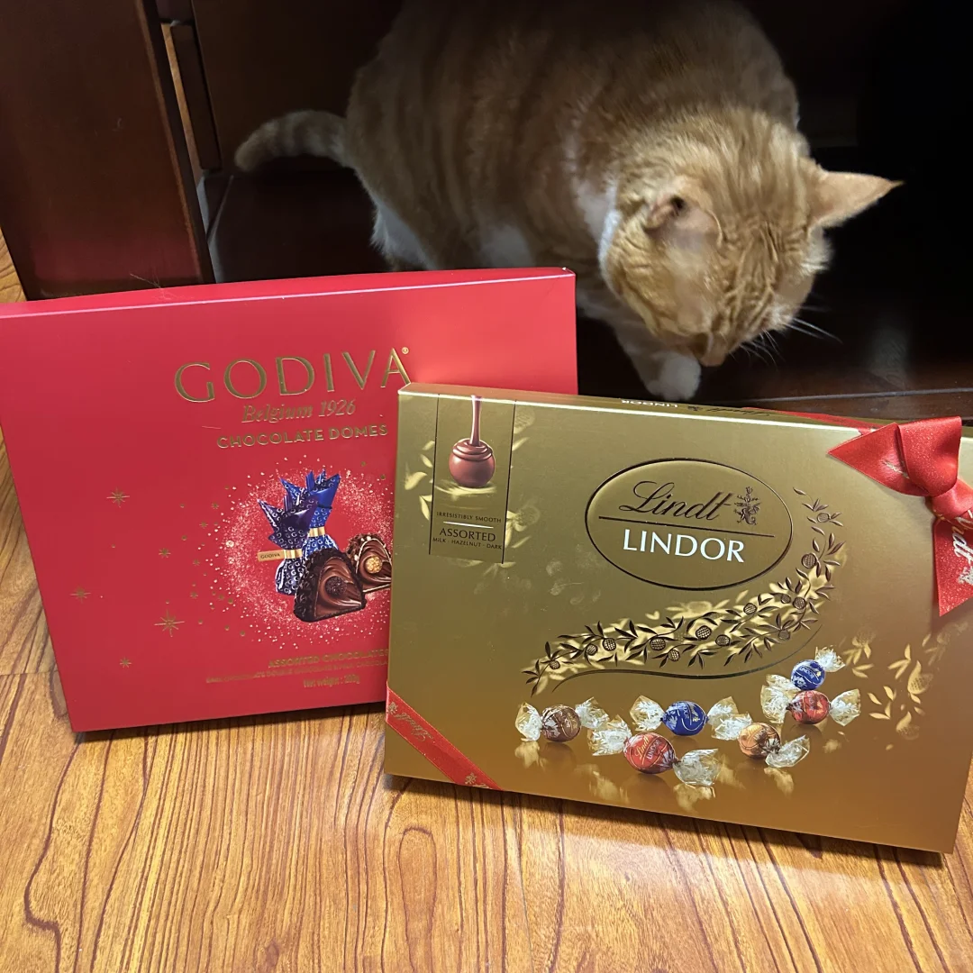 普通人提亲礼品清单——结婚进度10%