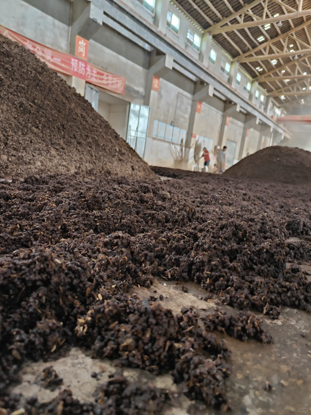 【救命】茅台镇的水,是真的深!