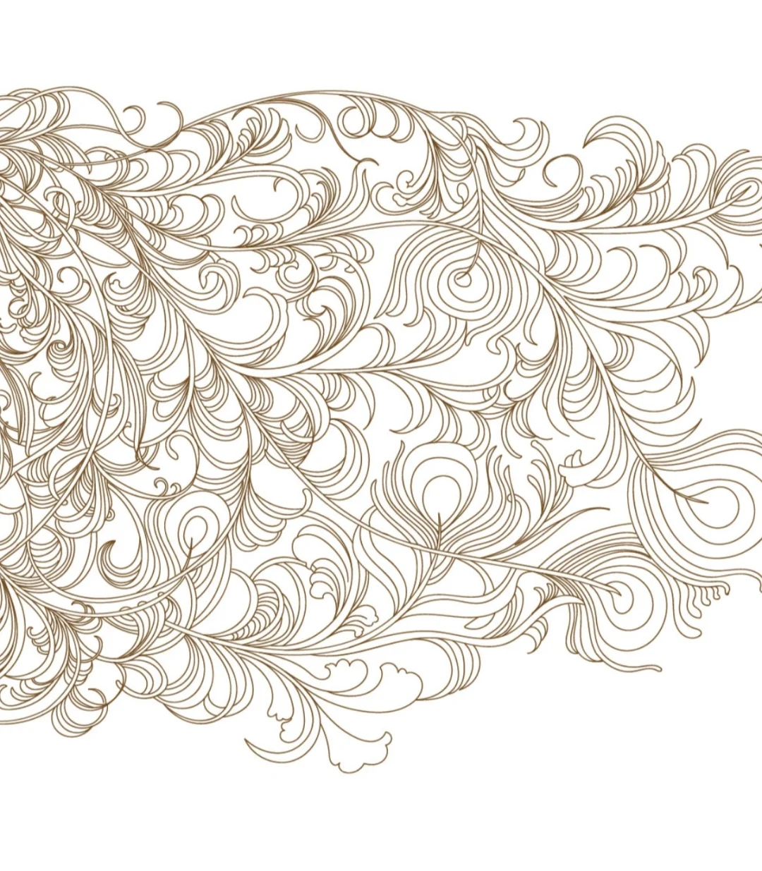 【涅槃重生·国风色彩盛宴】白酒包装