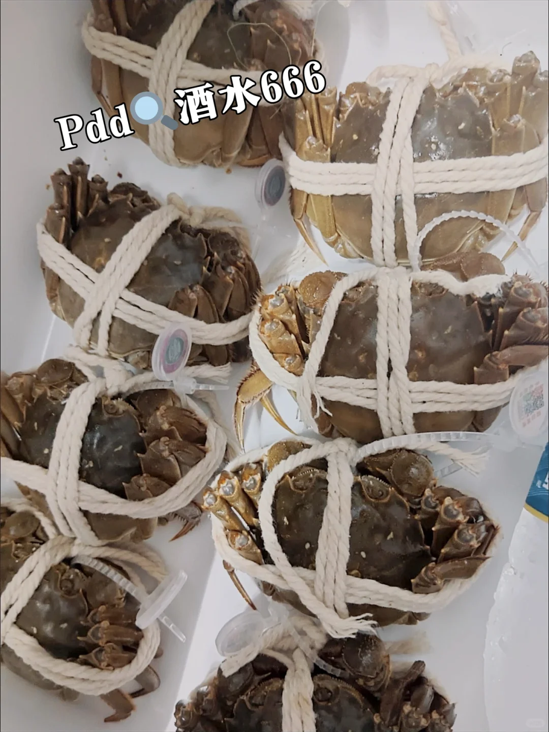 PDD酒水百亿补贴！白酒爱好者福音来啦‼️