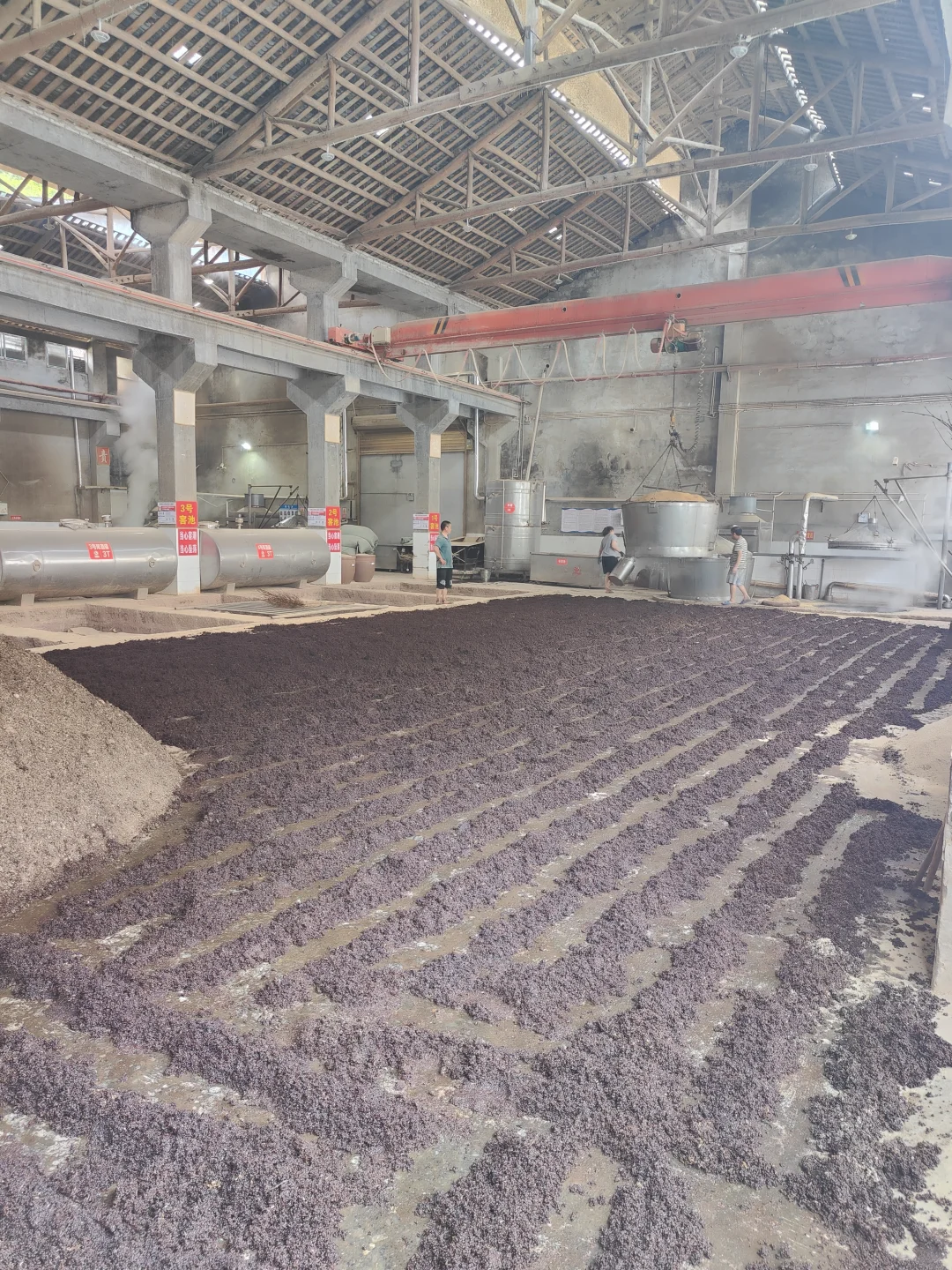 【救命】茅台镇的水,是真的深!