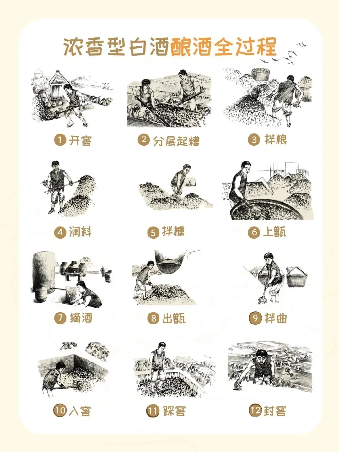 浓香型白酒特点