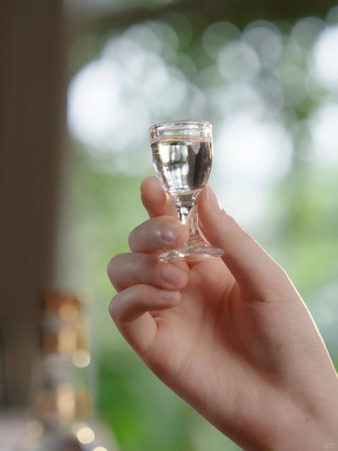 日常宅家，解锁微醺新体验！