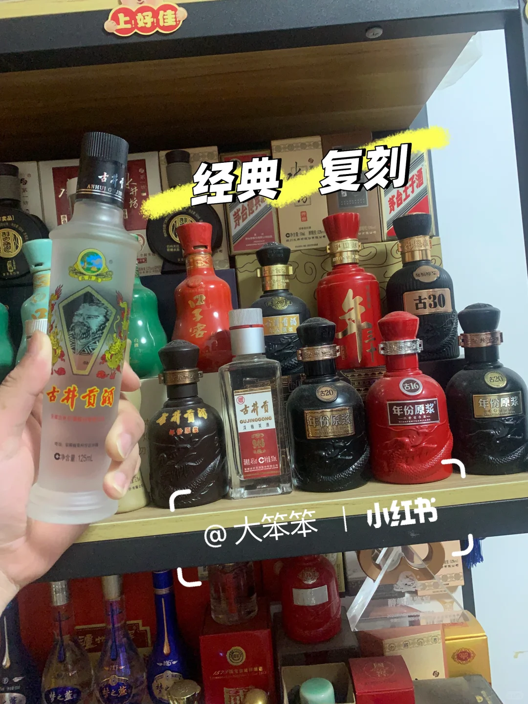 古井贡酒新酒版