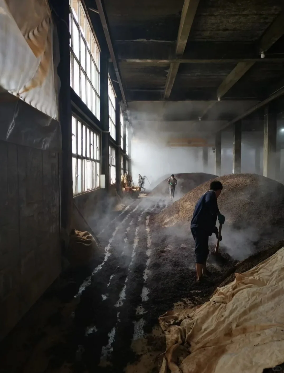 酒要酿的好，这些步骤少不了