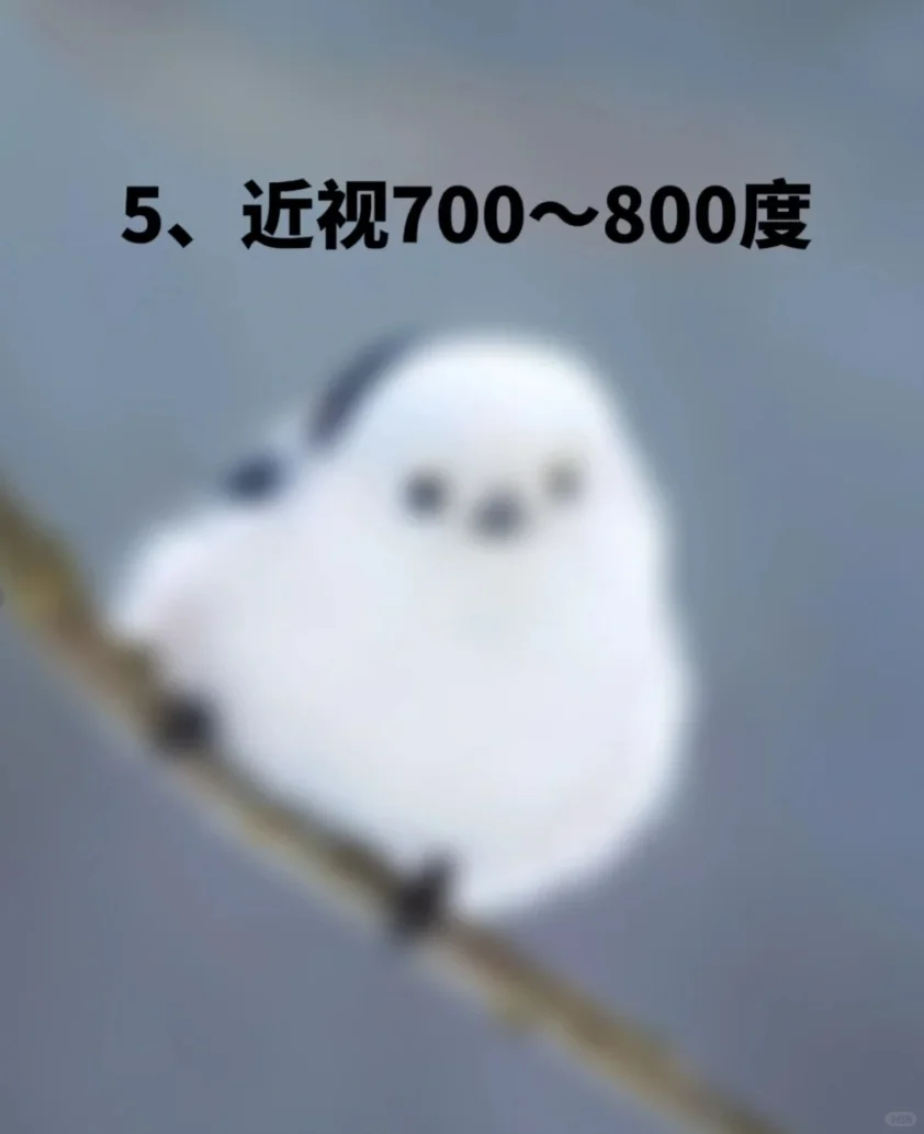 眼睛突然变模糊,你是第几张图