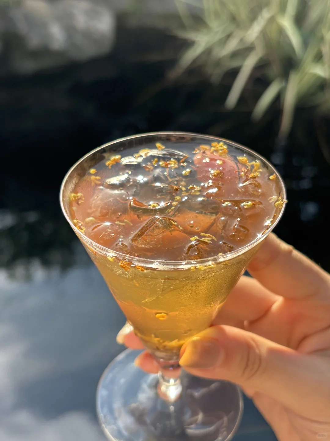 同一款酒连续喝了半年?。。。