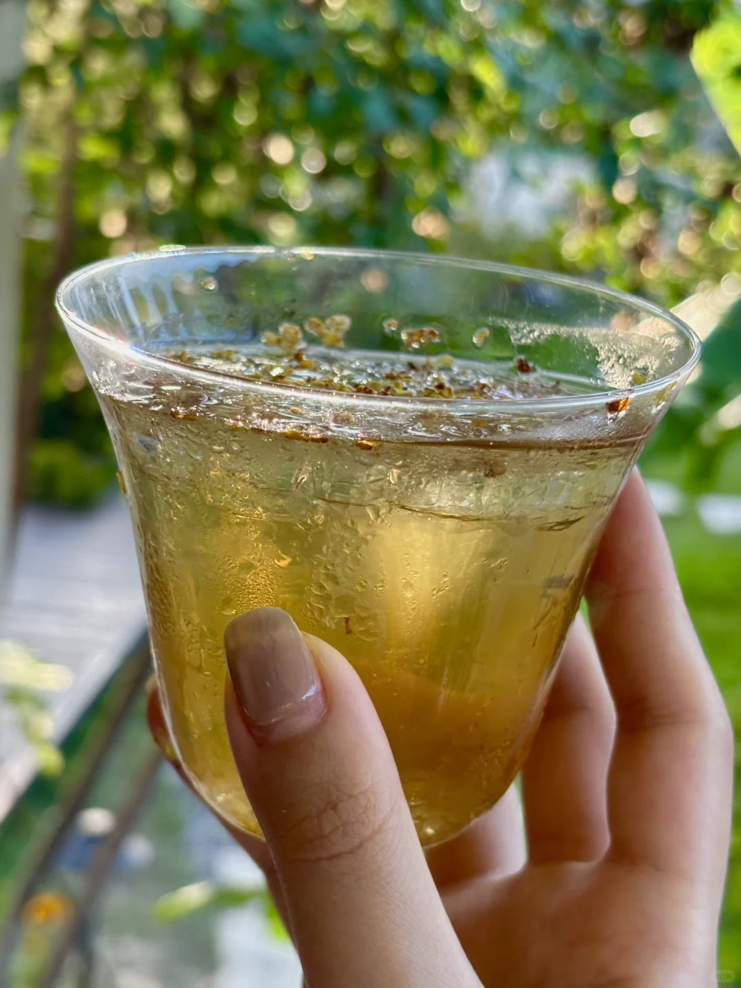 同一款酒连续喝了半年?。。。