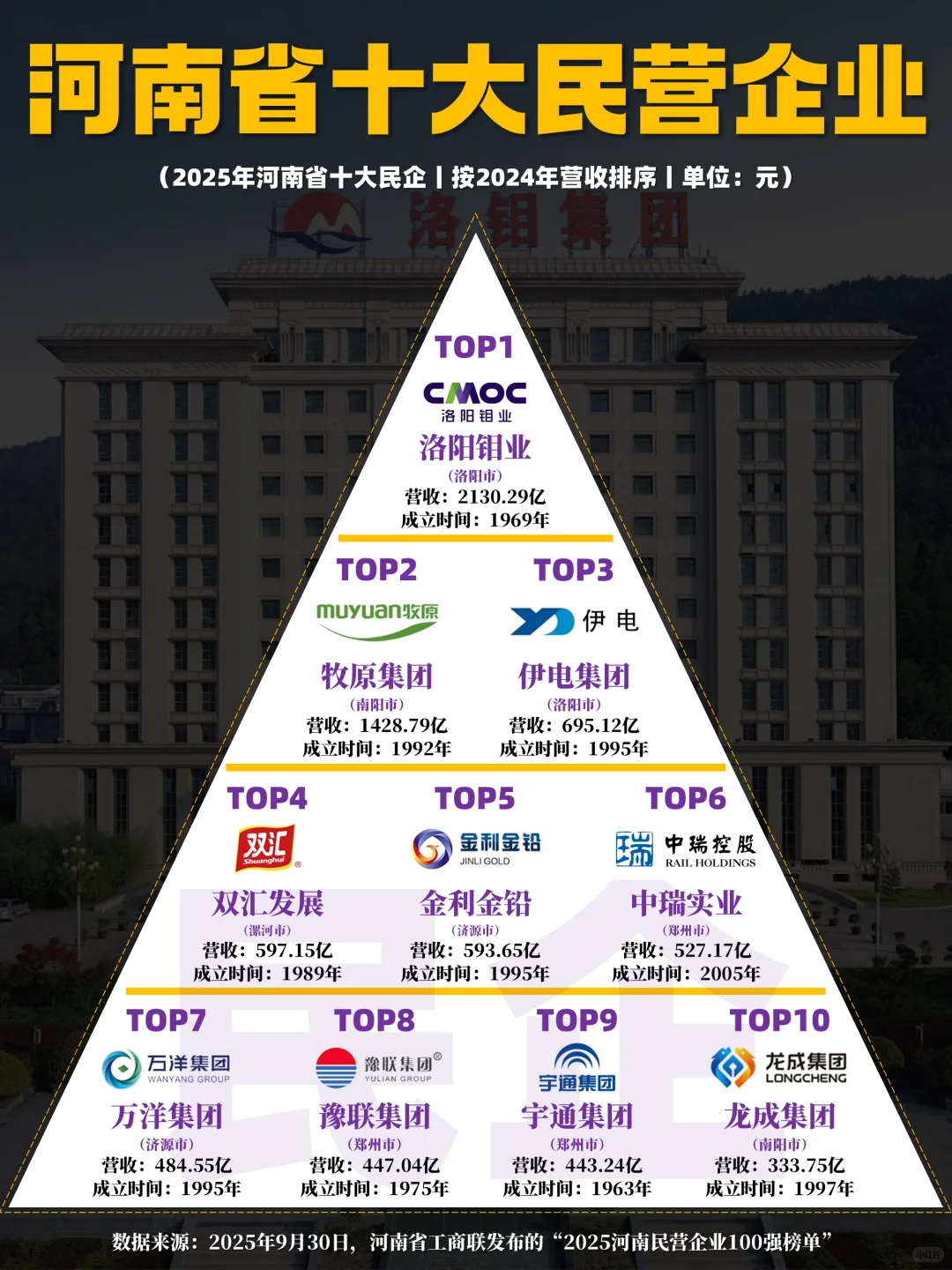 2025年河南省十大民营企业