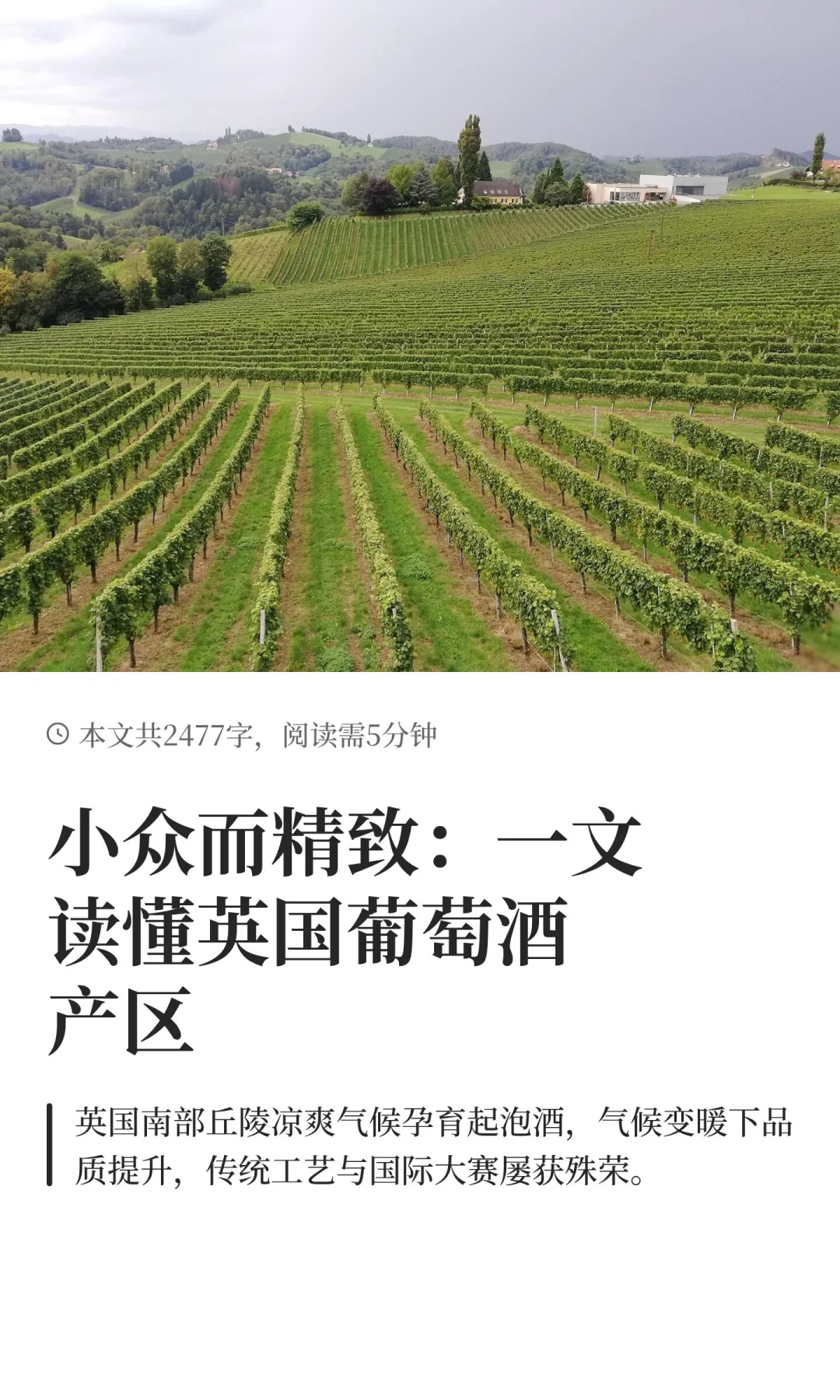 小众而精致：一文读懂英国葡萄酒产区