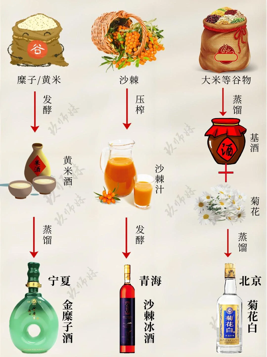 小众又独特的酒，你喝过几款？