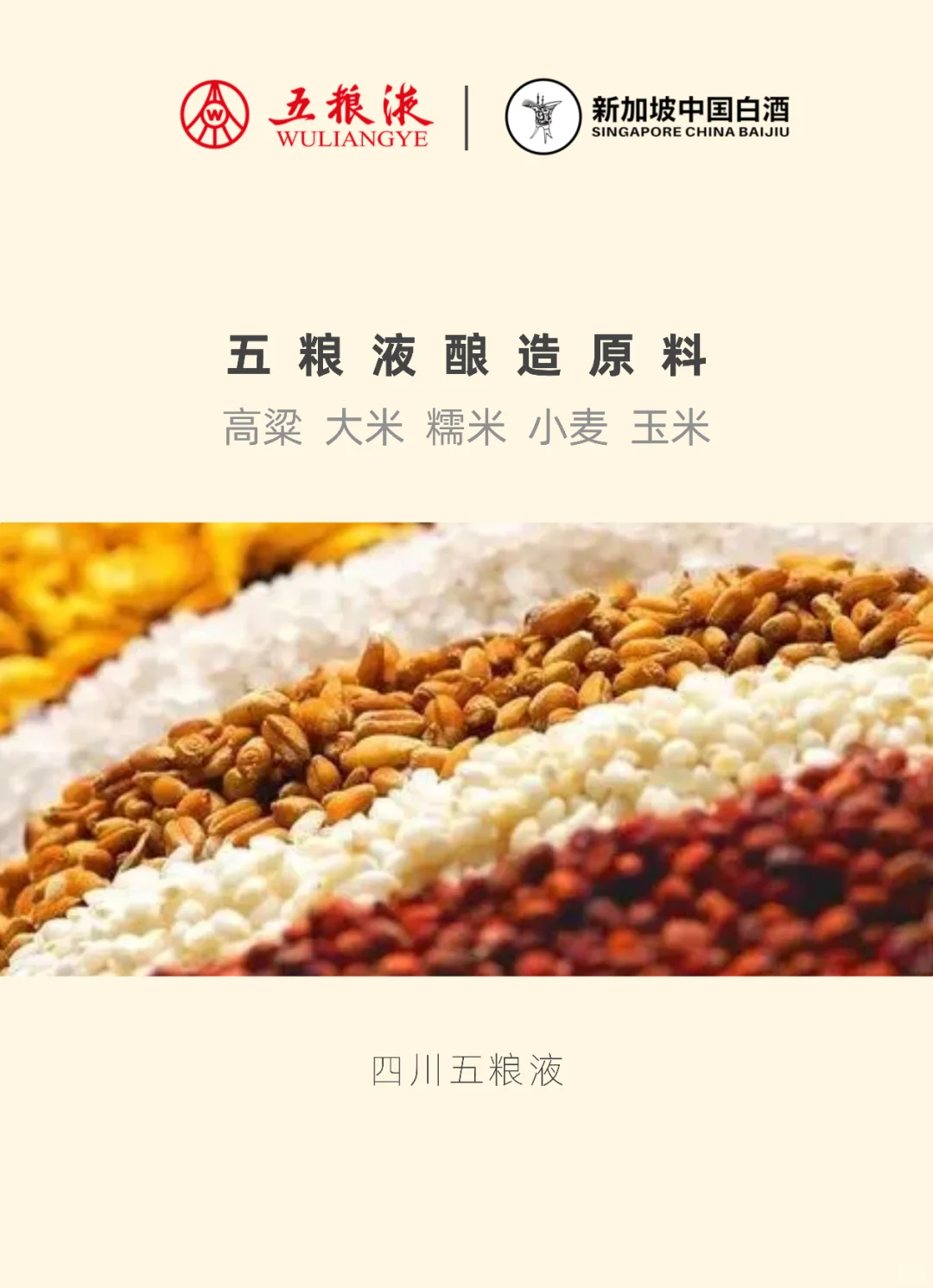 【新加坡中国白酒有限公司｜五粮液】