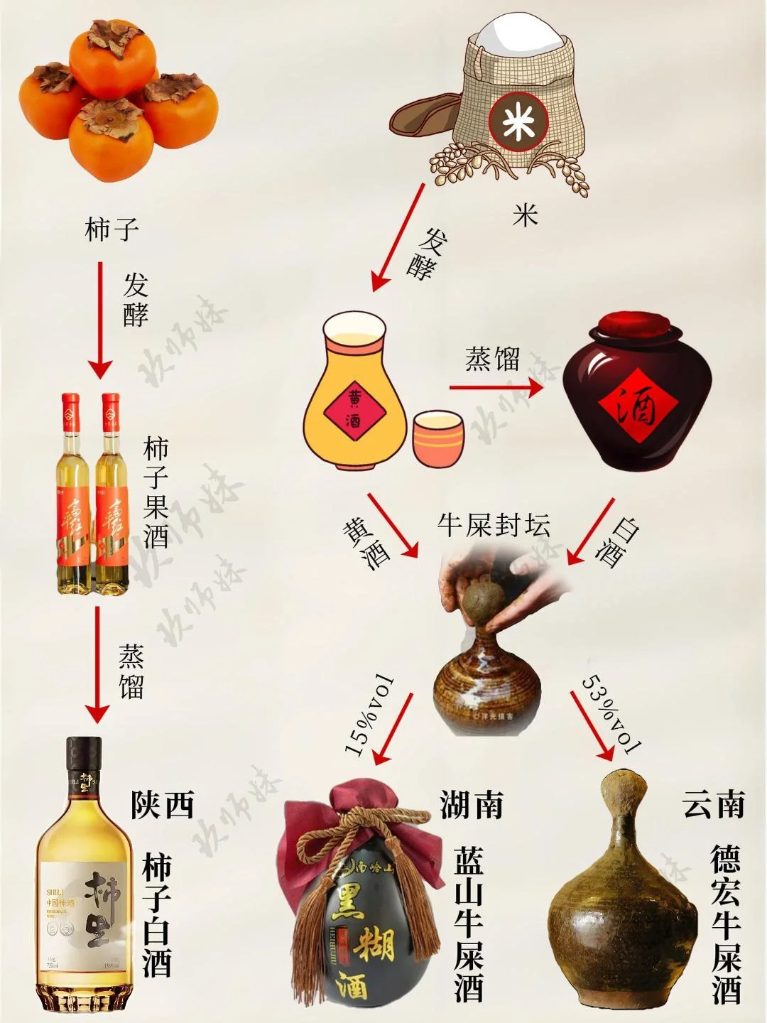 小众又独特的酒，你喝过几款？