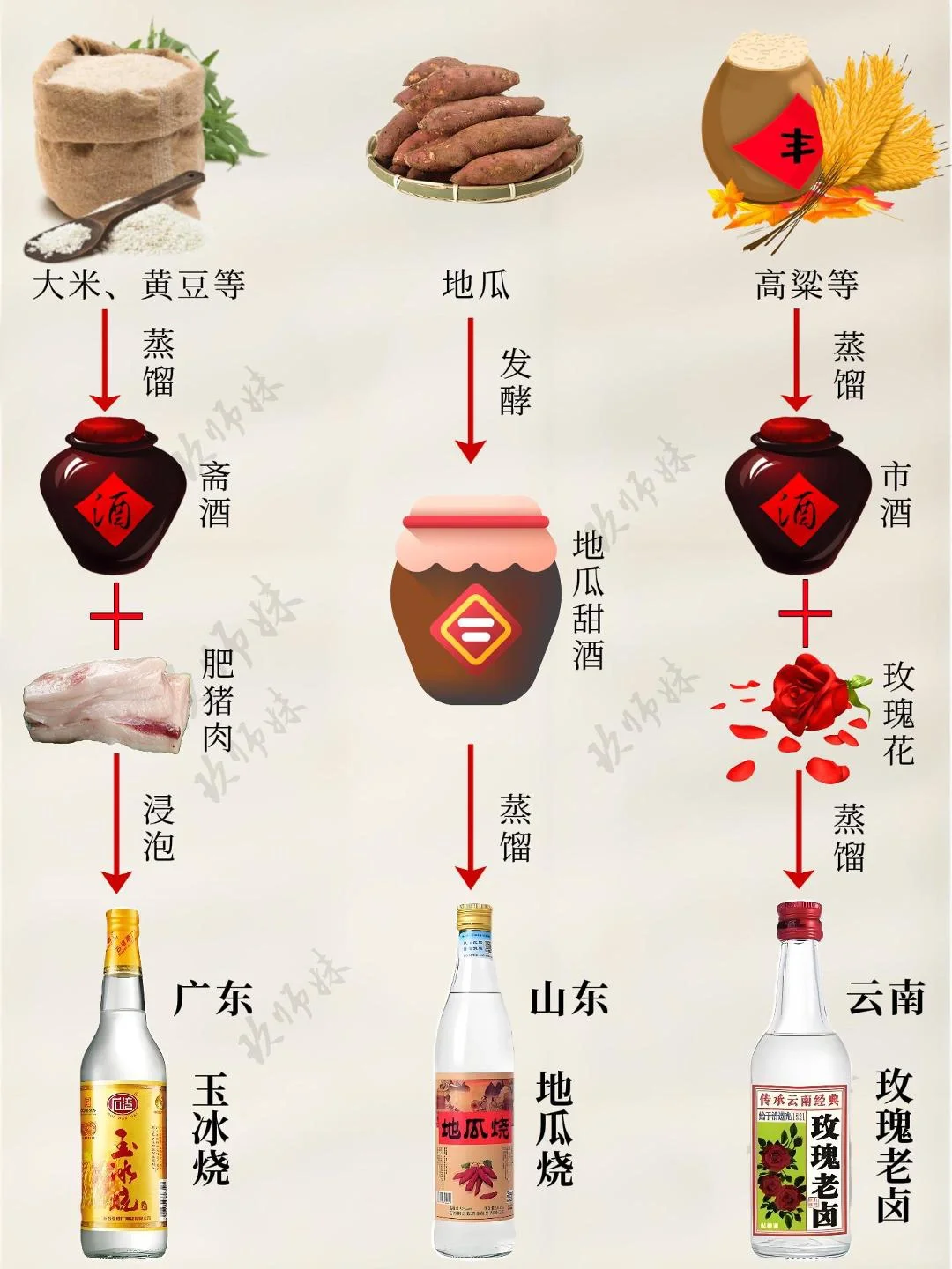 小众又独特的酒，你喝过几款？