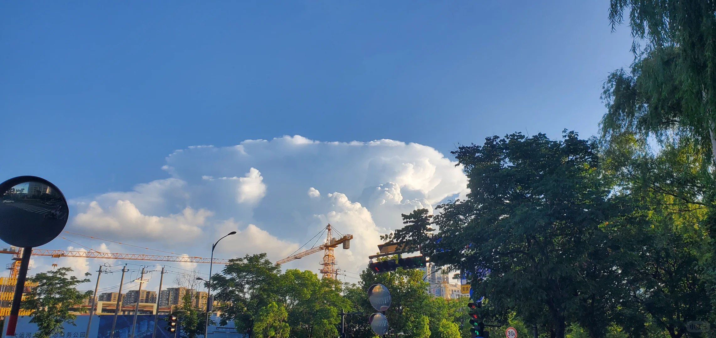 ☕️【实验室Plog1｜固体饮料研发的一天